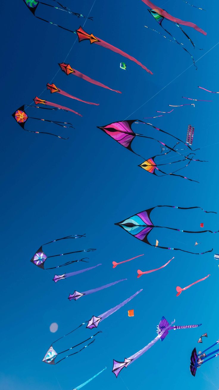 Designer colorful kite